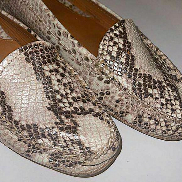 Geox Respira Python Snake Print Loafer Size‎ 7.5.  37.5 - Picture 1 of 6